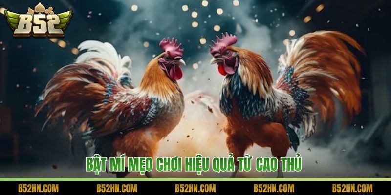 Bật mí mẹo chơi hiệu quả từ cao thủ