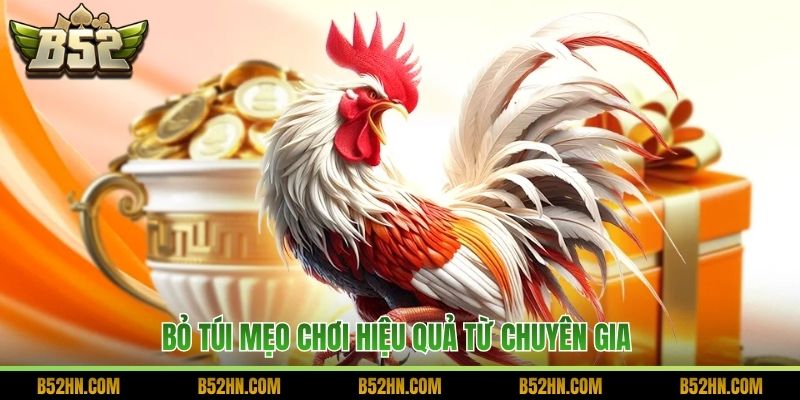Bỏ túi mẹo chơi hiệu quả từ chuyên gia 