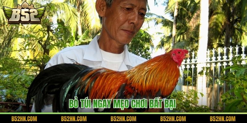 Bỏ túi ngay mẹo chơi bất bại