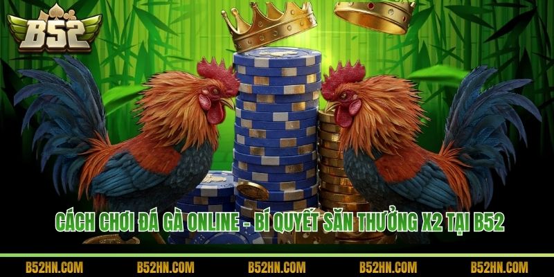 Cách Chơi Đá Gà Online - Bí Quyết Săn Thưởng X2 Tại B52