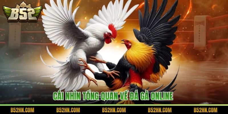 Cái nhìn tổng quan về đá gà online 