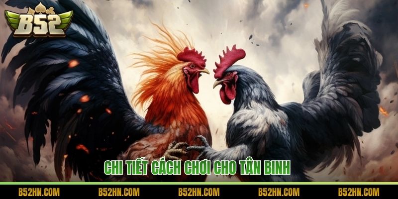 Chi tiết cách chơi cho tân binh 
