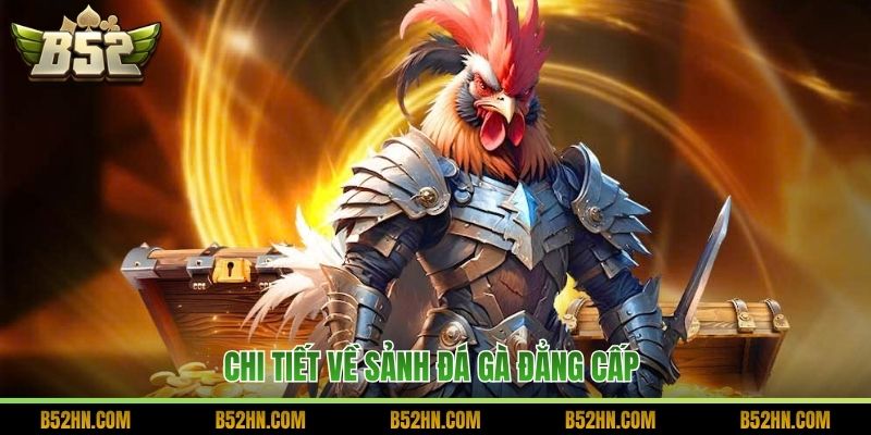 Chi tiết về sảnh đá gà đẳng cấp 