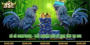 Đá Gà Campuchia - Trải Nghiệm Đấu Kê Kịch Tính Tại B52