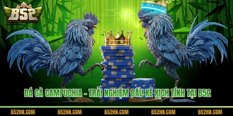 Đá Gà Campuchia - Trải Nghiệm Đấu Kê Kịch Tính Tại B52