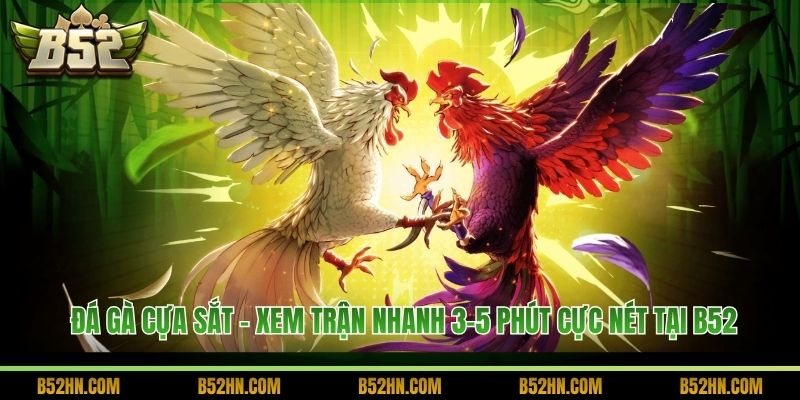 Đá Gà Cựa Sắt - Xem Trận Nhanh 3–5 Phút Cực Nét Tại B52