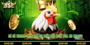 Đá Gà Thomo - Xem Hơn 50 Trận Mỗi Ngày Full HD Tại B52