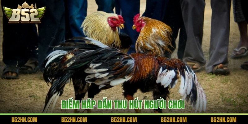 Điểm hấp dẫn thu hút người chơi 