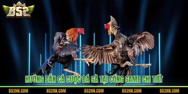 Hướng dẫn cá cược đá gà tại cổng game chi tiết