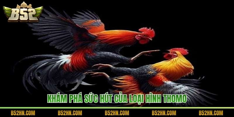 Khám phá sức hút của loại hình Thomo