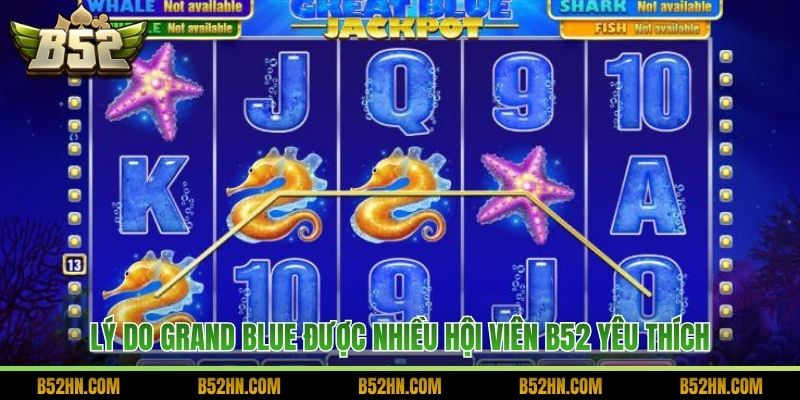 Lý do Grand Blue được nhiều hội viên B52 yêu thích