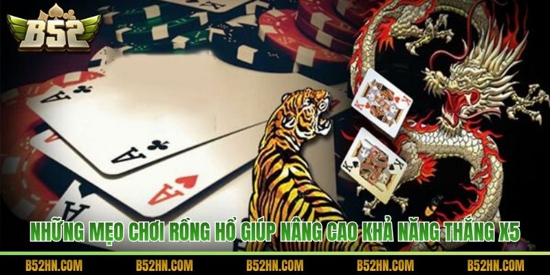 Những mẹo chơi Rồng Hổ giúp nâng cao khả năng thắng x5