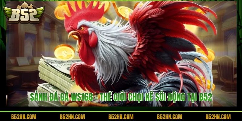 Sảnh Đá Gà WS168 - Thế Giới Chọi Kê Sôi Động Tại B52 