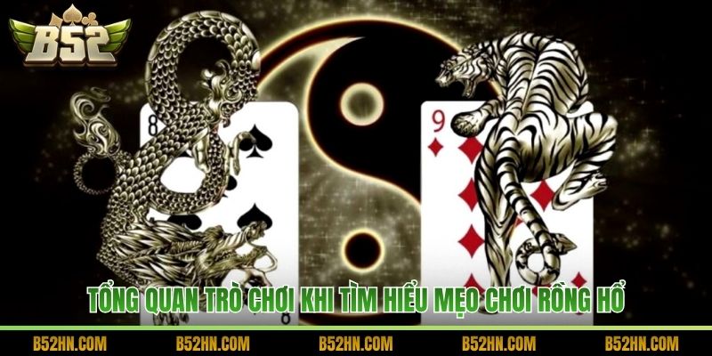 Tổng quan trò chơi khi tìm hiểu mẹo chơi Rồng Hổ