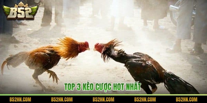 Top 3 kèo cược hot nhất 
