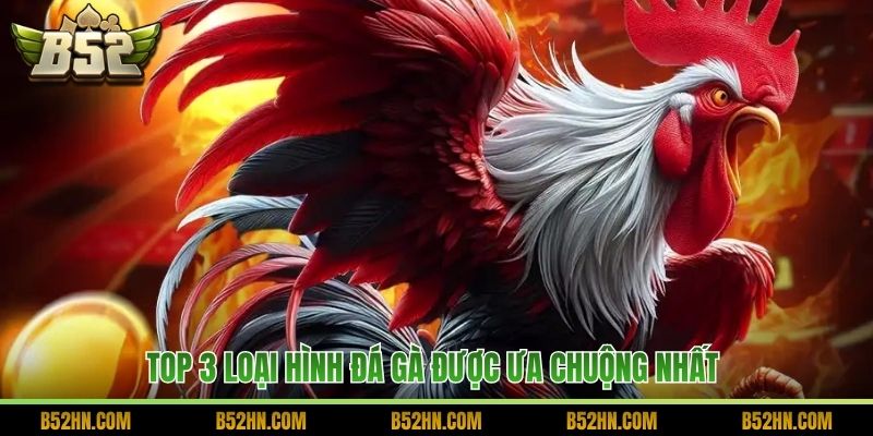 Top 3 loại hình đá gà được ưa chuộng nhất 